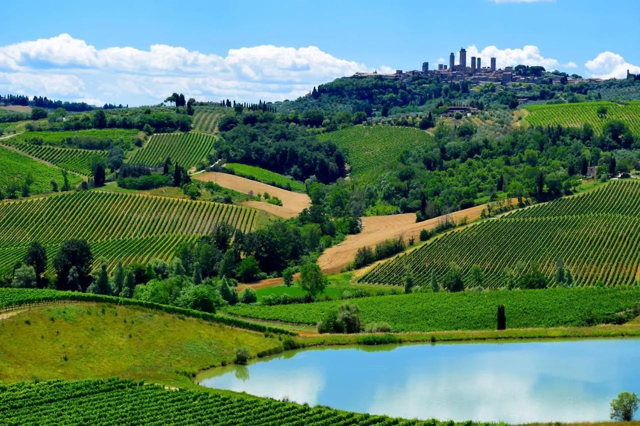 Betulla A, Betulla B, Betulla C - Happy Rentals San Gimignano